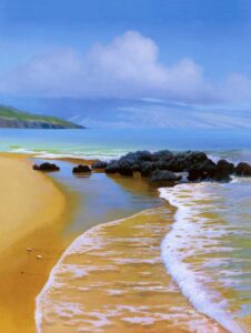 Natural Home Goes to Maui Image